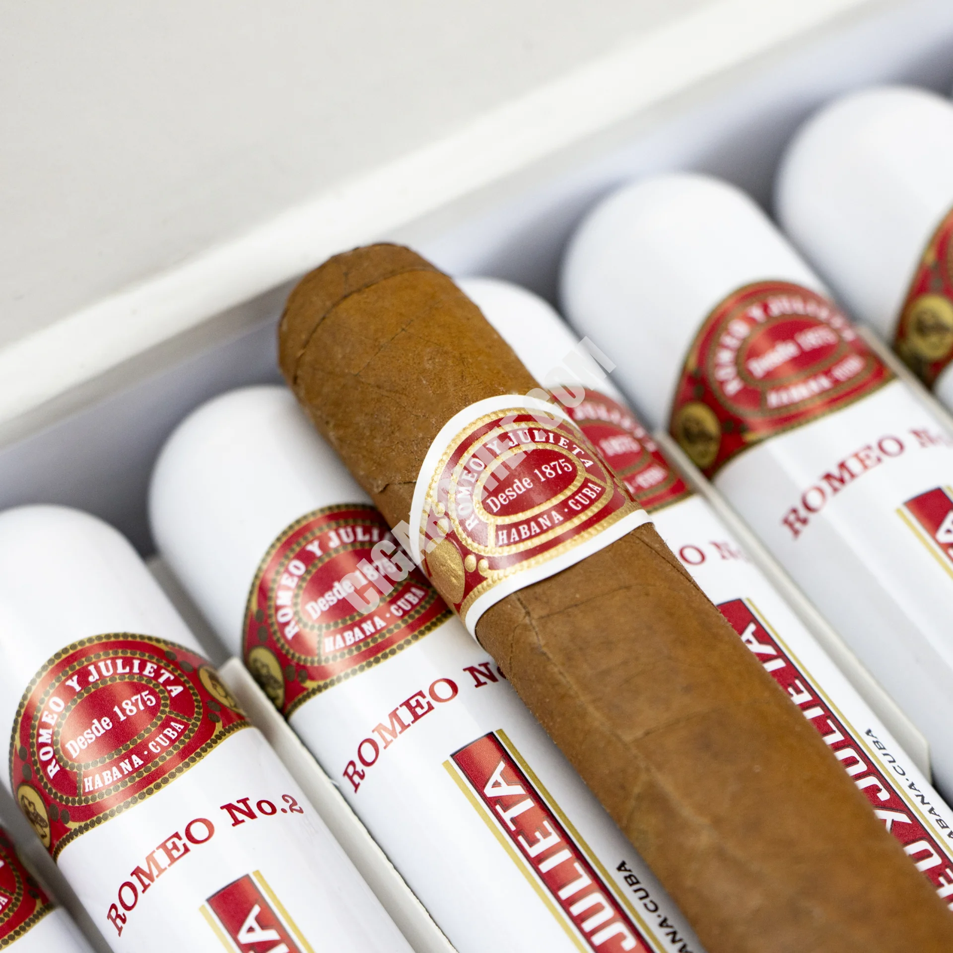 romeo-y-julieta-no2-tubos-25-li-puro-8505113782868 Romeo Y Julieta No.2 Tubos 25'li Puro - Görsel 3