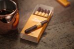 Zino Nicaragua Short Puritos 10 Adet - Görsel 2