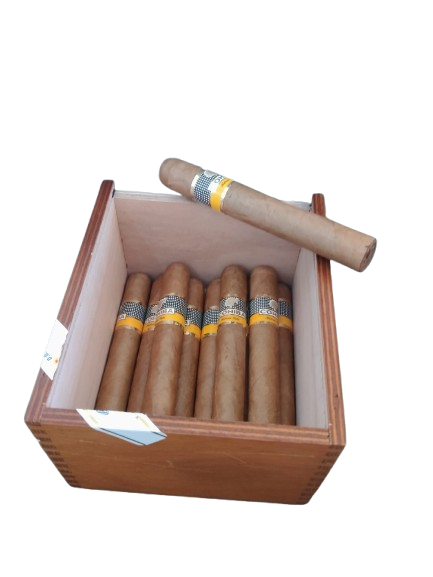 Cohiba Siglo 6 - 10'lu Orjinal Barkodlu Kutusunda